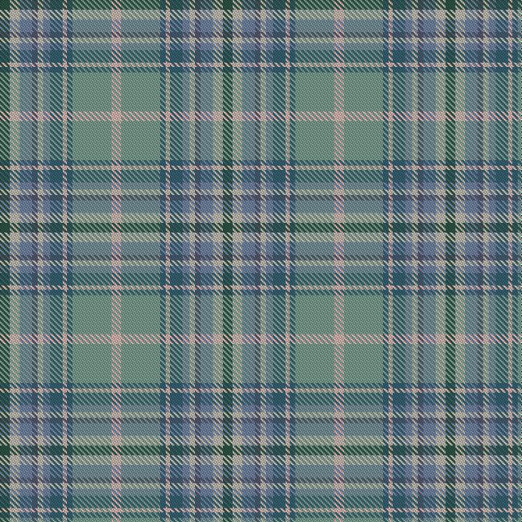 Bluebellgray Coastal tartan pattern