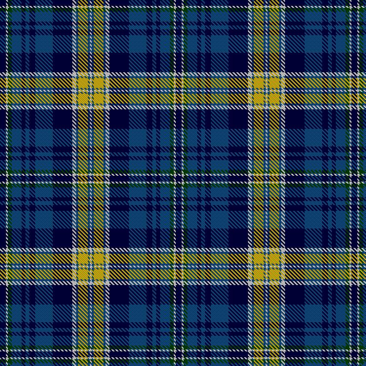 Bath Caledonian Society tartan pattern