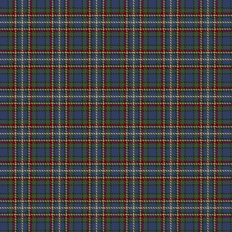 Araminta Campbell – Garden Bloom tartan pattern