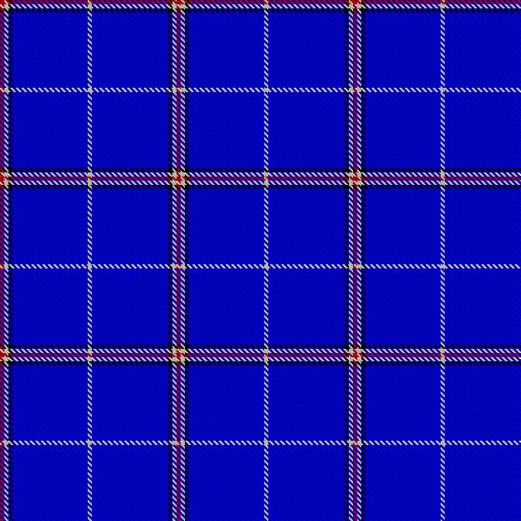 Volunteer Lifesaving Corps (VLSC) tartan pattern