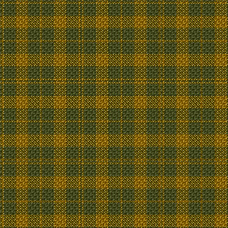 Barbie's Moss Plaid (Yellow & Green) tartan pattern