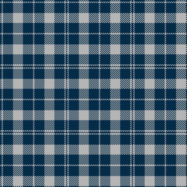 Barbie's Moss Plaid (Blue & White) tartan pattern